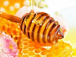 Что такое мед и откуда он берется