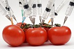 ГМО: продукты - мутанты на нашем столе