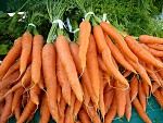 Вся правда про морковь