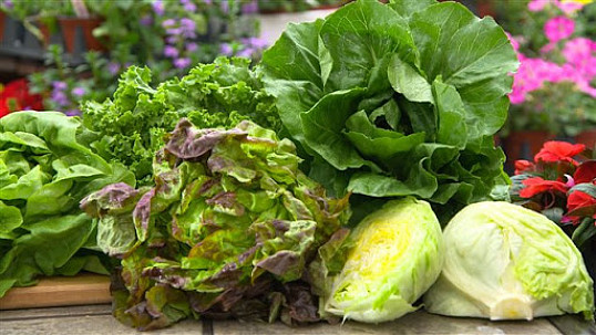 9 полезных видов листовой зелени для здоровья - Интересно о вкусном