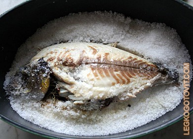 Фото рецепта: Дорада, запеченная на соли